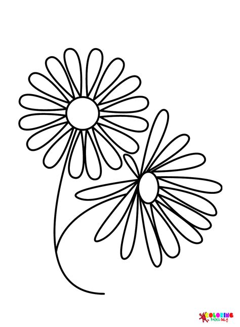 Simple Daisy Drawing Color
