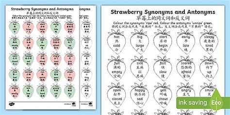 Synonyms and Antonyms Worksheet - English/Mandarin Chinese