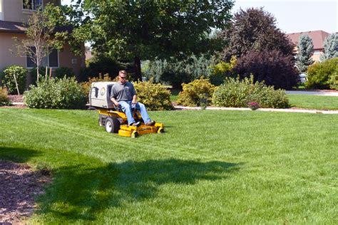 Image result for Walker Model MT