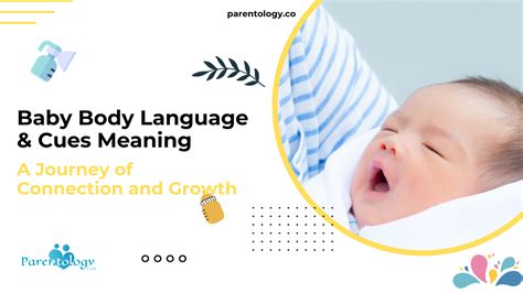 Body Language Cues 的图像结果