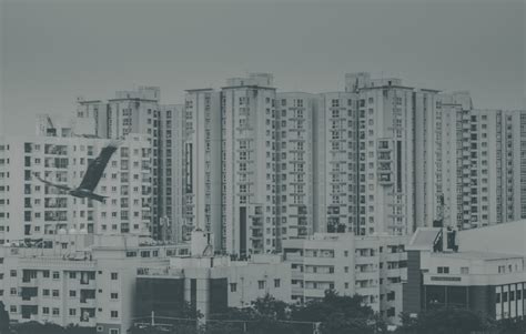 Magento Development Company in India | Mage India