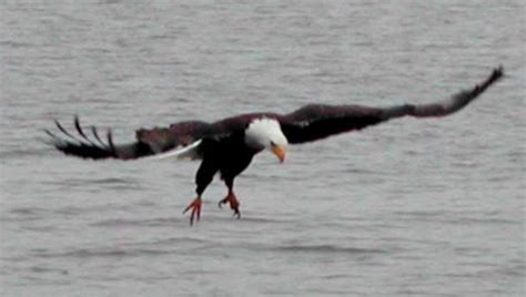 THE 10 BEST Places to Visit in Voyageurs National Park (2026)