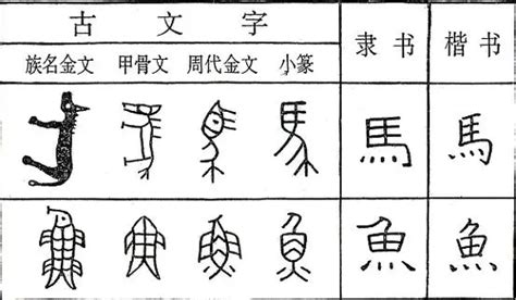 甲骨文金文篆体象形字的字形演变