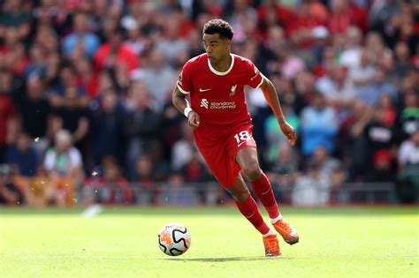 Liverpool could seek to repeat Gakpo coup with swoop for £25.7m wizard