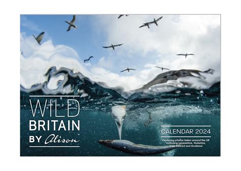 Buy 2024 Wild Britain British Wildlife By Alison A3 Wall Space to Write ...