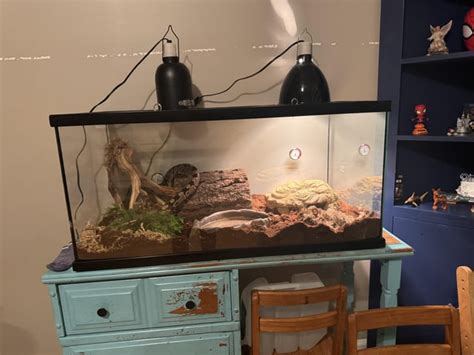 Image result for How Long Are Ball Python Cages