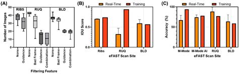 Real-Time Deployment of Ultrasound Image Interpretation AI Models for ...