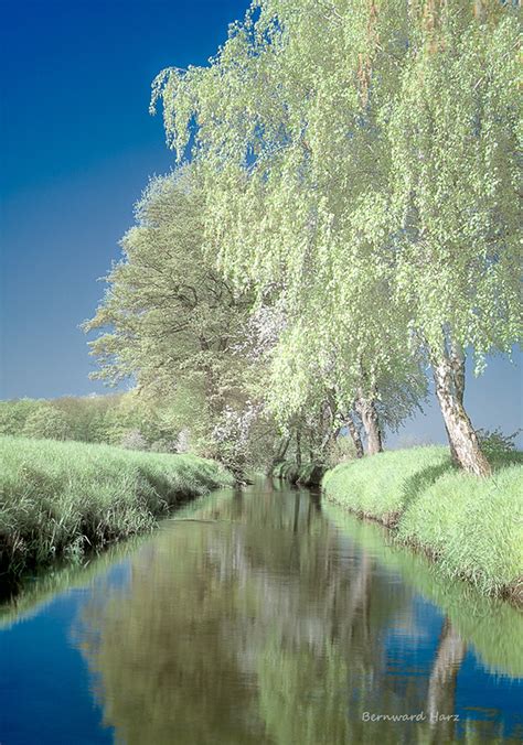 Springtime Clips 的图像结果