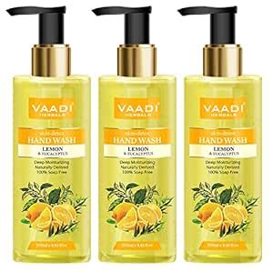 Vaadi Herbals Skin Detox Lemon and Eucalyptus Hand Wash - 250 ml (Pack ...