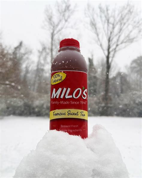 Milo's Tea Company | Milo’s Strawberry Basil Iced Tea 🍓🍃 This infused ...