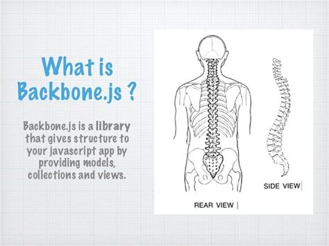 Backbone Tutorial 的图像结果
