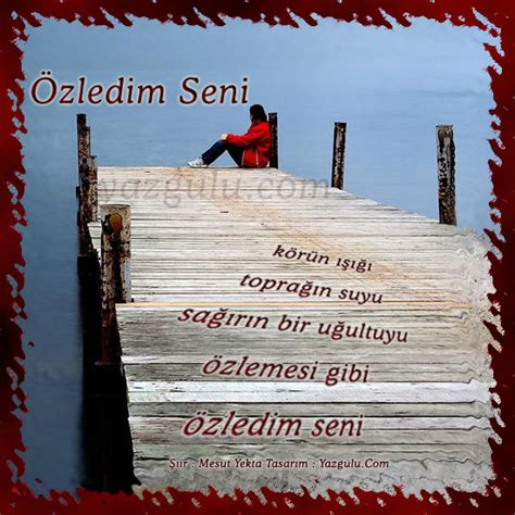 Resimli Şiirler -1- [Arşiv] - Sayfa 13