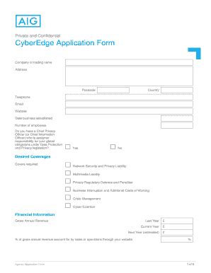 Aig Cyberedge - Fill and Sign Printable Template Online