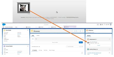Image result for Salesforce User Guide