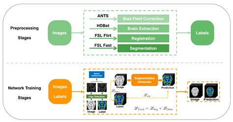 nnSegNeXt: A 3D Convolutional Network for Brain Tissue Segmentation ...