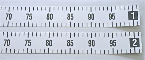 2 inch ruler online