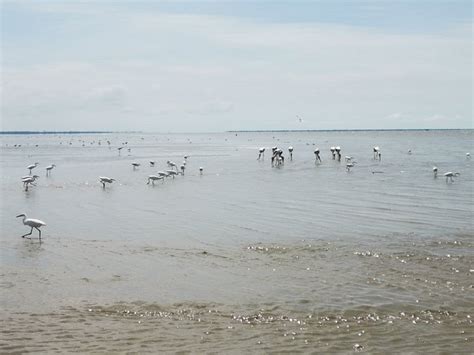 WAVE REST HOUSE & CAFE (Kuala Selangor) - Guesthouse Reviews & Photos ...