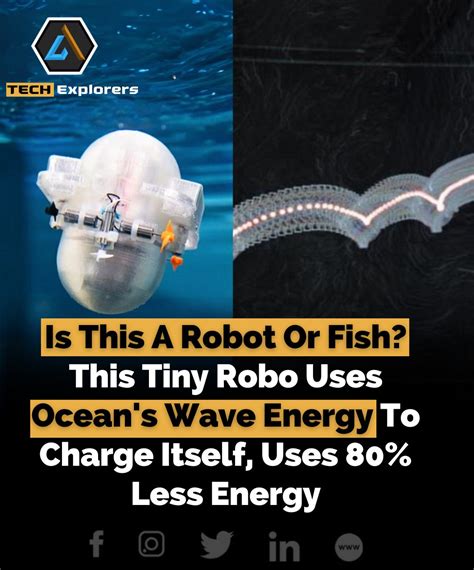 Image result for Caltech Robotics