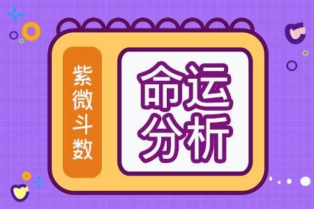 免费八字紫微斗数算命最准的紫微斗数免费详解-八字算命网