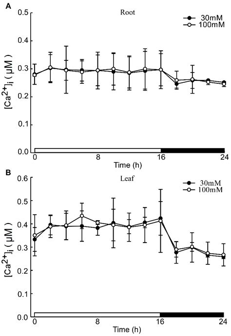 Acidic Stress Induces Cytosolic Free Calcium Oscillation, and an ...