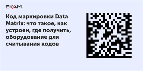 Код маркировки Data Matrix - структура и принцип работы кода Data Matrix