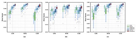 nnSegNeXt: A 3D Convolutional Network for Brain Tissue Segmentation ...