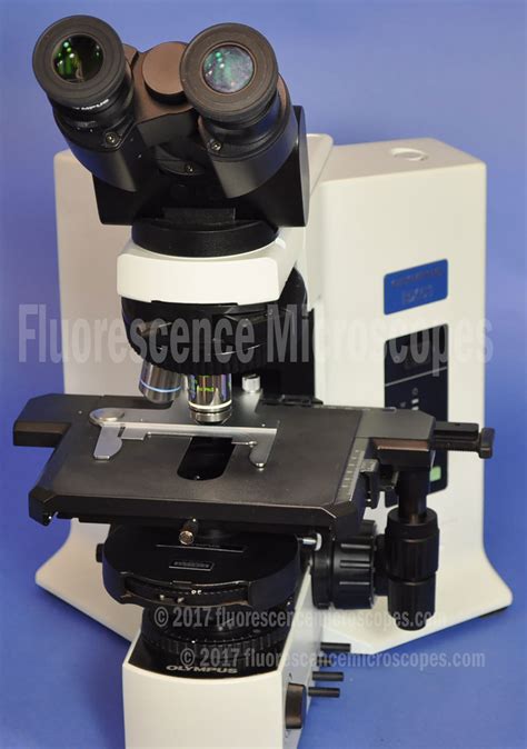 Fluorescence Microscopes - Olympus BX51 Upright Phase Contrast Microscope