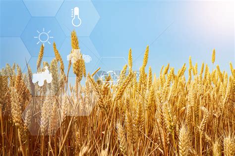 科技农业图片素材-正版创意图片401914990-摄图网