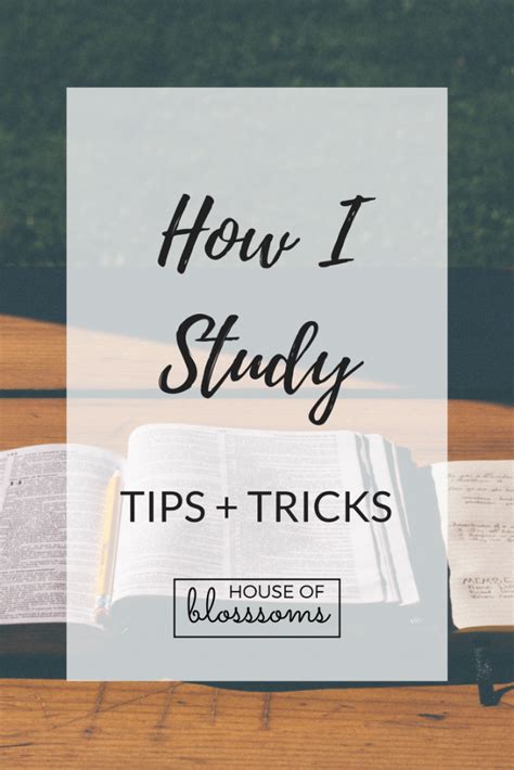 Study Tips and Tricks 的图像结果