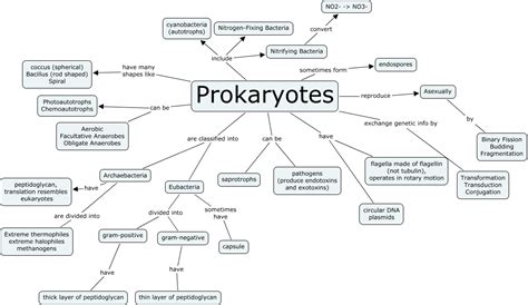Image result for Course Prokaryotes
