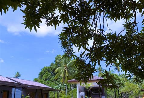 Balai Angelica - Nature Farm & Resort, Pagsanjan - 2026 Updated Prices ...