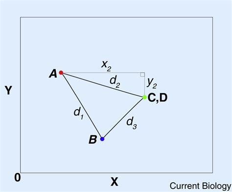 Morphospace Local Optima 的图像结果