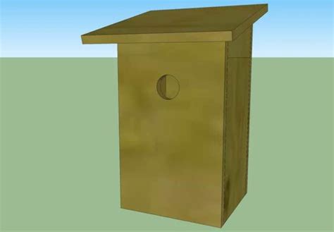 Image result for Tree Swallow Boxes