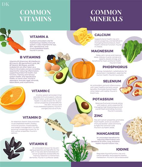 Vitamins And Minerals And Their Functions at Mario Wall blog