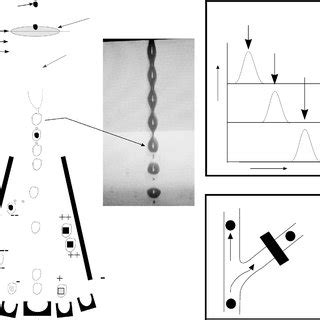 Image result for Electrostatic Cell Sorting