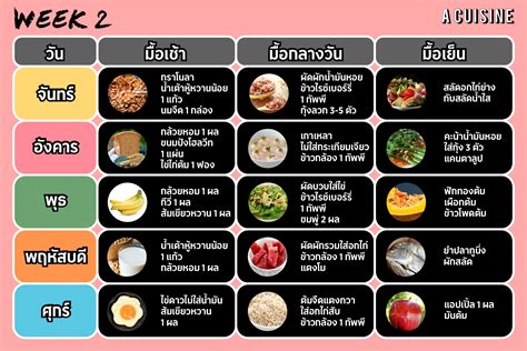 Image result for Classification System Examples