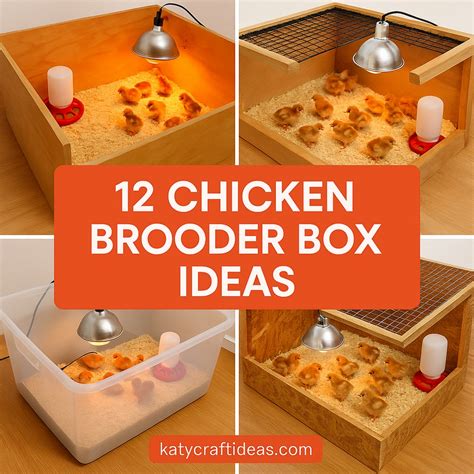 Image result for Hay Box Brooder