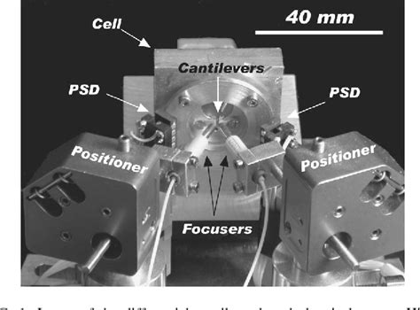 Microscope Image Processing 的图像结果