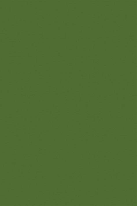 Sage Green Solid color Peel and Stick Wallpaper or Non-Pasted