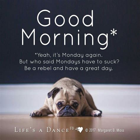 Funny Monday Motivational Quotes For Work