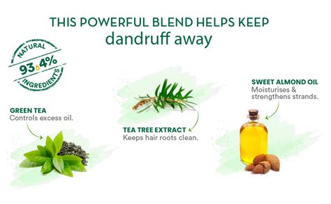 Buy WOW Skin Science Green Tea & Tea Tree Anti-Dandruff Conditioner ...