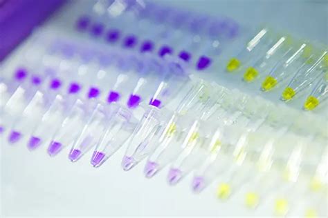 Image result for PCR Machine Operting Procedure