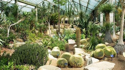 The secrets of the Princess of Wales Conservatory | Kew