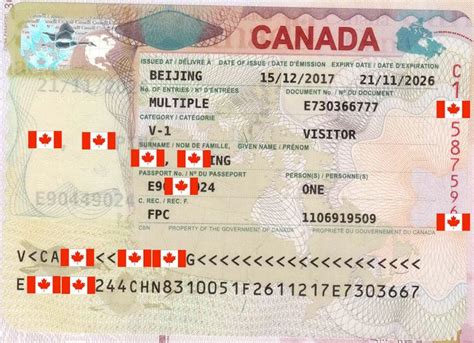 加拿大签证详细解析（加拿大常见签证类型介绍及区别）