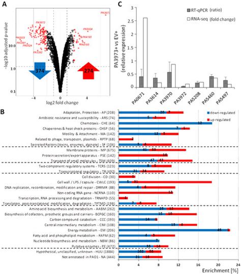 IJMS | Topical Collection : State-of-the-Art Molecular Microbiology in ...