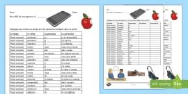 Défi de conjugaison : Les verbes en -IR au passé composé