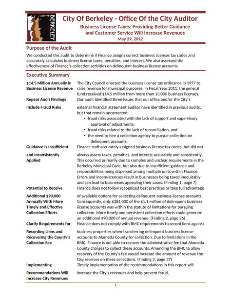 Audit Report Example 的图像结果