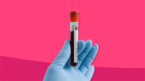 What is globulin in a blood test? | SingleCare
