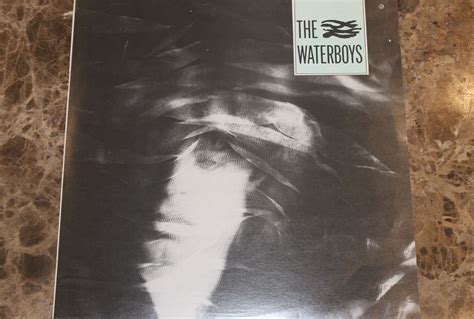 The Waterboys - The Waterboys (VG+/VG) - Mr Vinyl