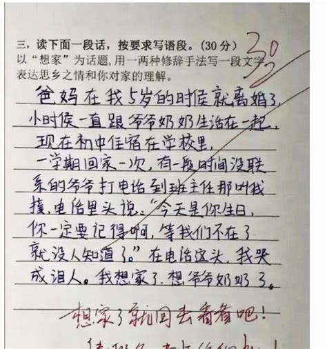 “最悲伤作文”作者：父母离世 与两弟弟相依为命--教育--人民网